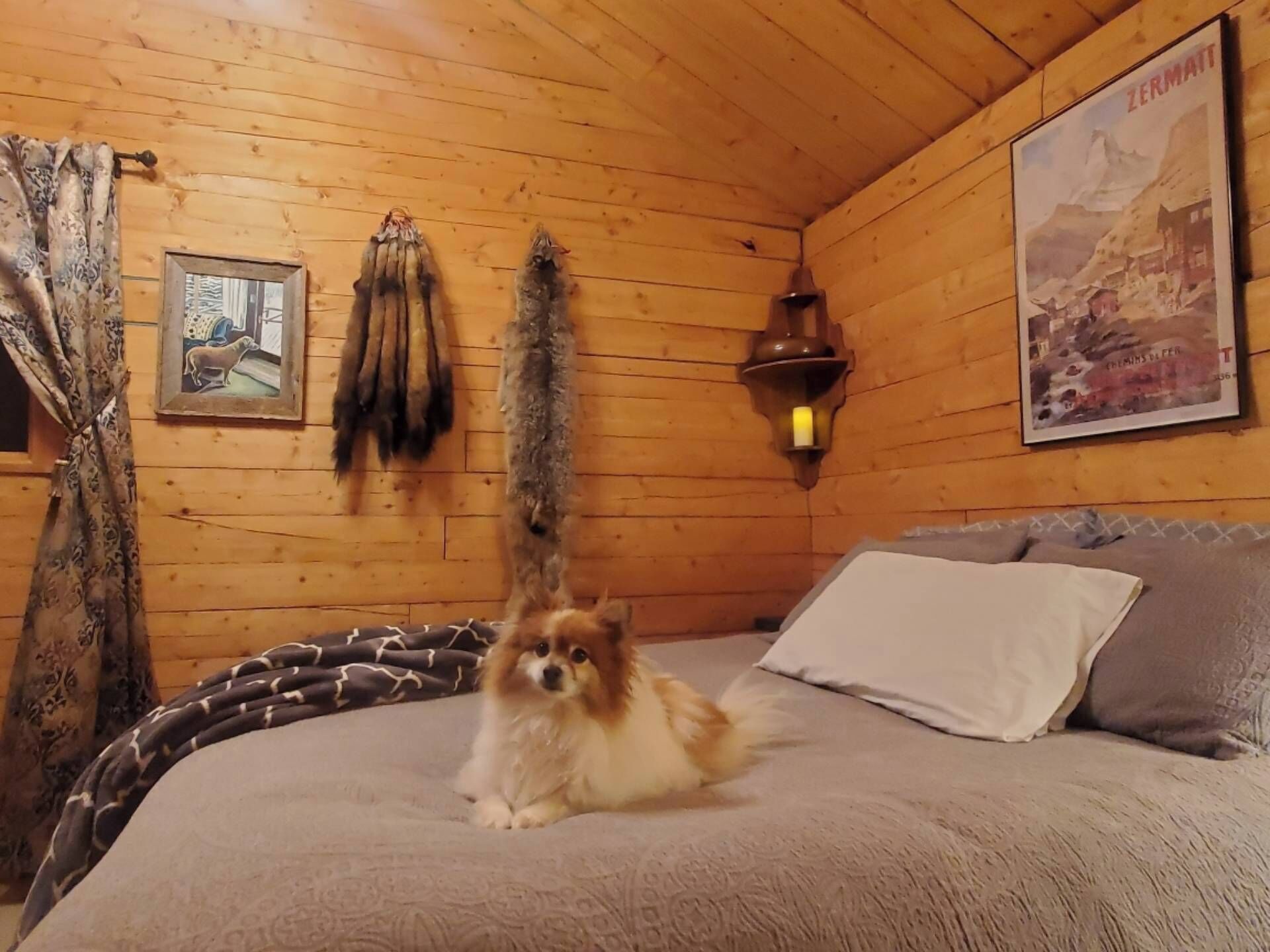 1 chambre, literie fournie