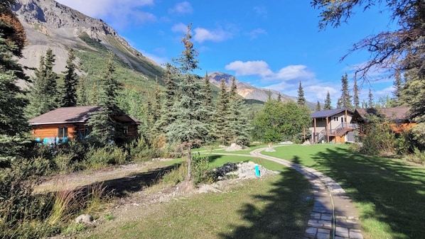 Uklassifisert bilde, 1 av 22, knapp