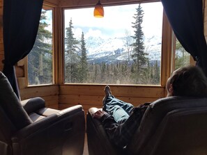 Cabin, Multiple Beds, Mountain View | Living area