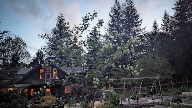 A rustic cabin with a balcony, surrounded by dense forest and a garden with various plants and a wooden fence. - Whimsical and cozy cottage on a homestead in the North Cascades (Concrete)