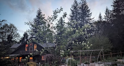 Whimsical and cozy cottage on a homestead in the North Cascades