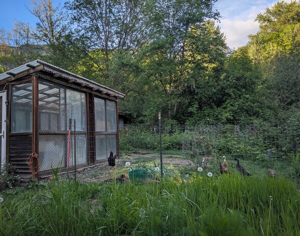 A rustic wooden structure with large windows and a metal fence, surrounded by lush greenery and trees.