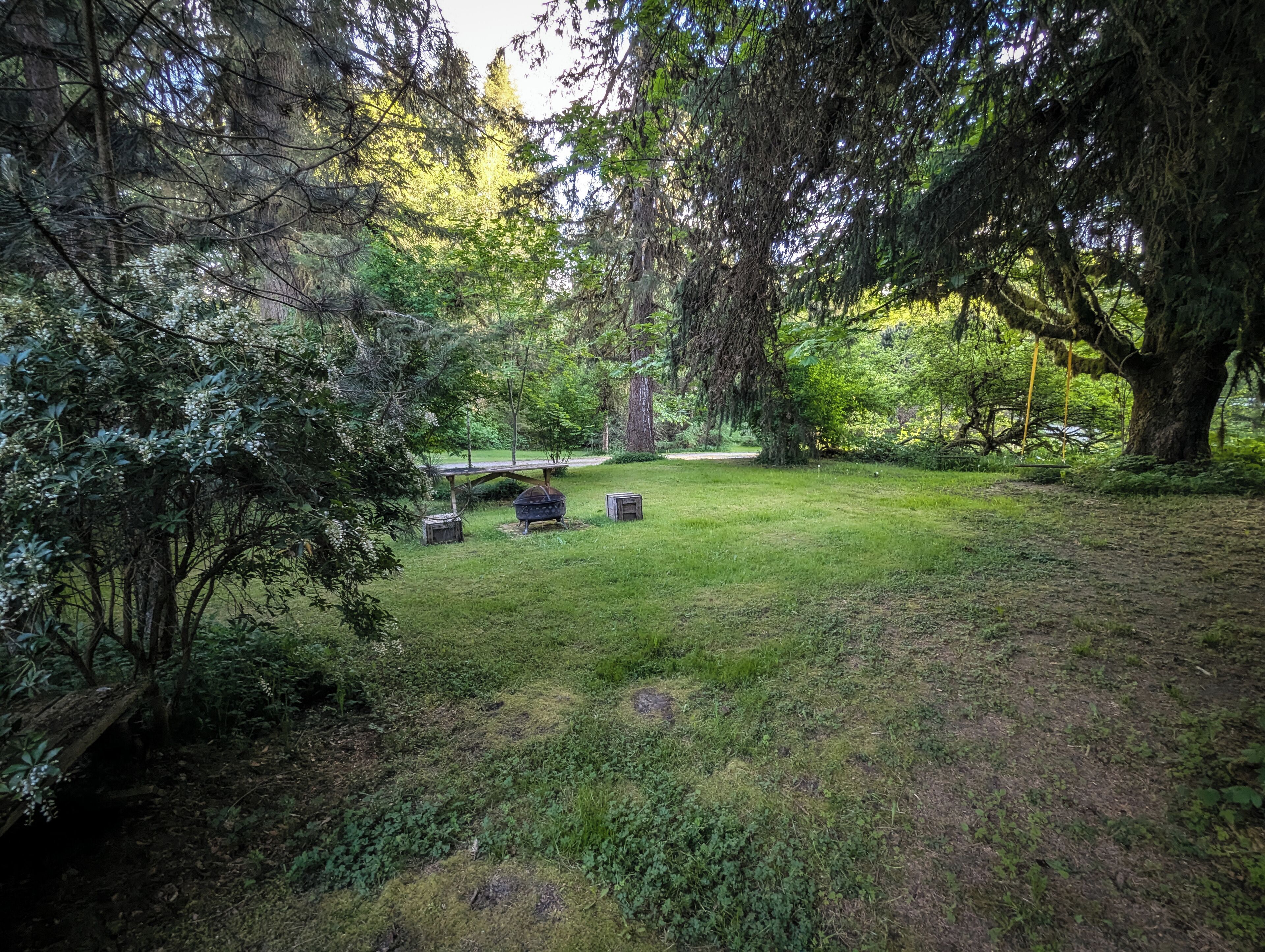 Ein Park mit einem Picknicktisch, einem Grill und einer Schaukel.