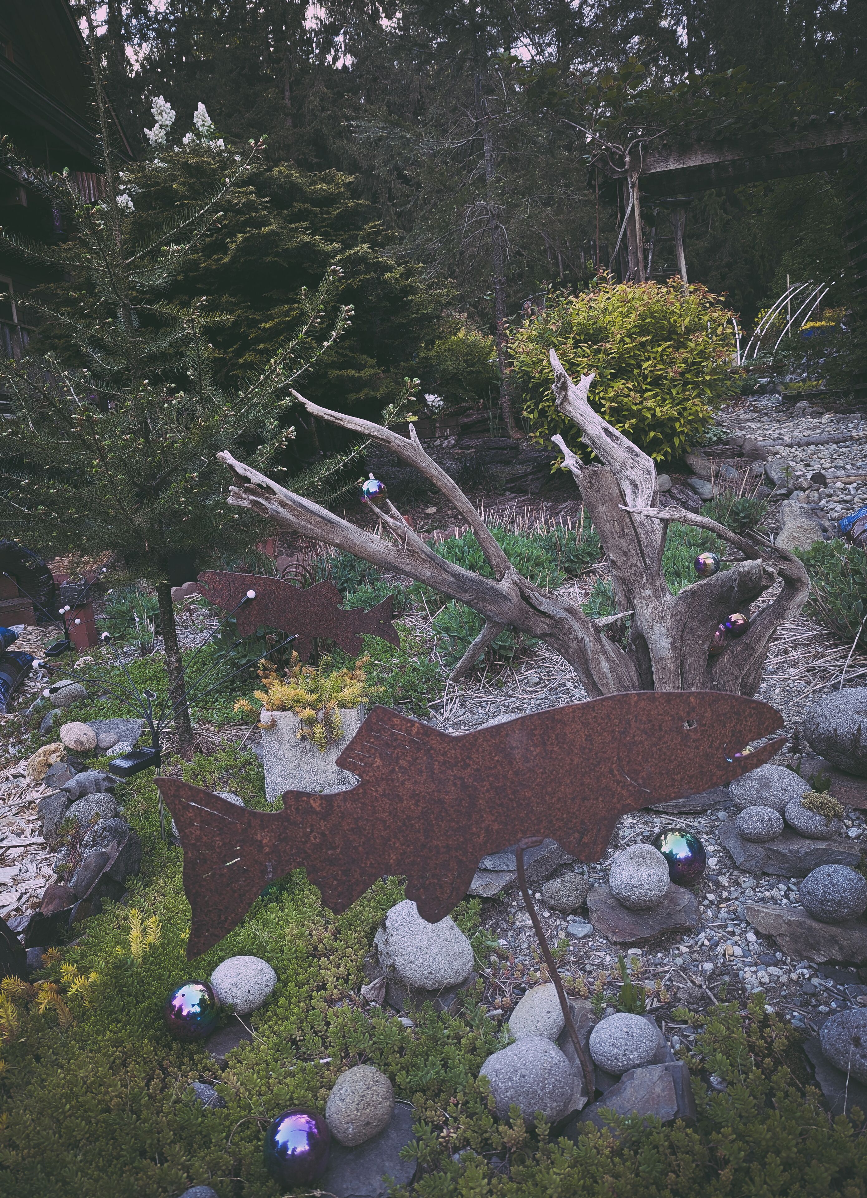 A garden with a large tree, rocks, and decorative glass spheres.