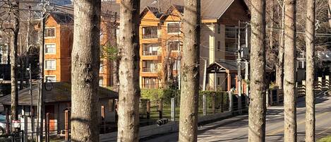 A residential area with tall trees, a clear road, and buildings with balconies.