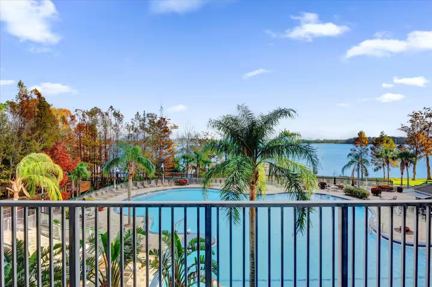 Zona de piscina con vista a un lago, rodeada de palmeras y otra vegetación.