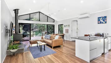 Smart TV, fireplace, books