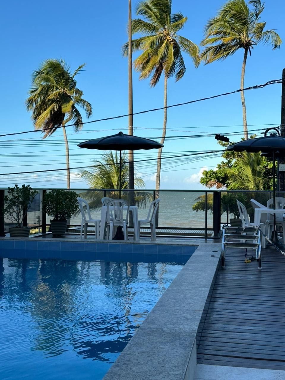 A pool area with chairs and umbrellas, overlooking a body of water with palm trees.