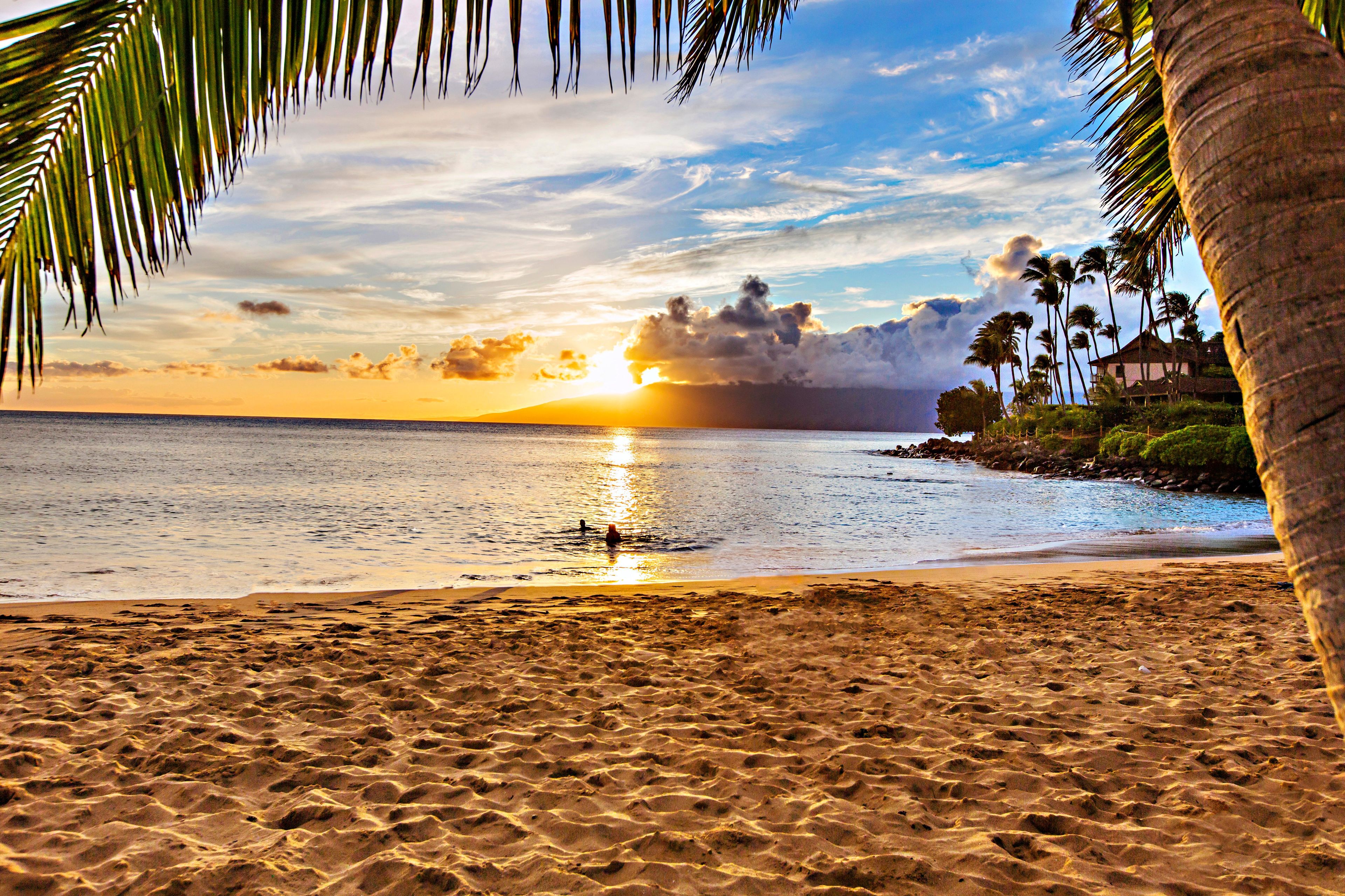 Une plage au coucher du soleil, avec des palmiers et un ciel dégagé.