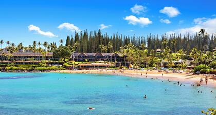 New Listing! Charming Napili Shores Escape