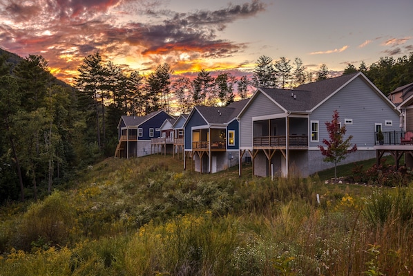 Exterior - Blue Mountain Cottage | 3BR, 2BA mountain-view retreat with fireplace. (Fairview)