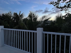 Uklassifisert bilde, 3 av 5, knapp