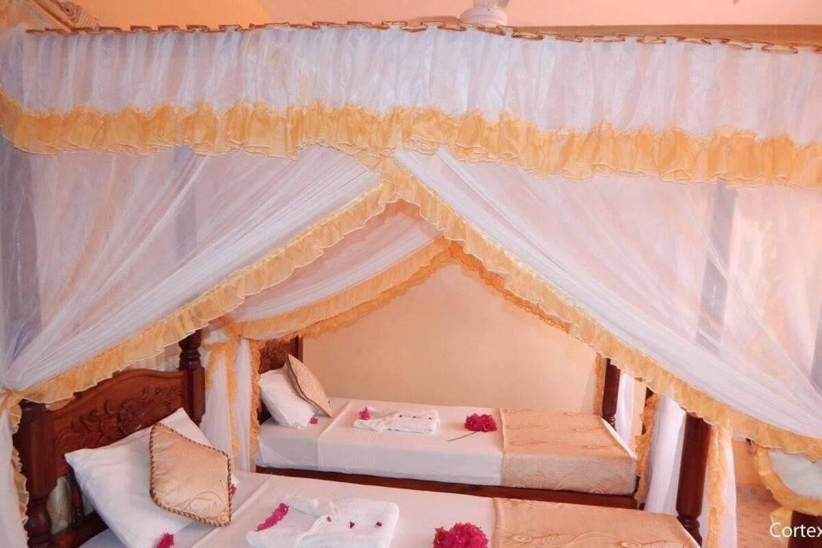 Chambre Deluxe avec lits jumeaux