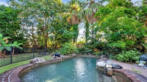 Une petite piscine circulaire bordée de briques, entourée d’une végétation luxuriante et d’arbres.