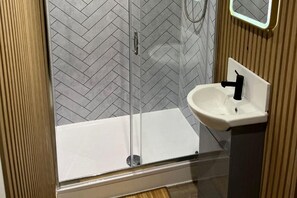 Shower, hair dryer, towels - Main door flat with private garden city center (Edinburgh)