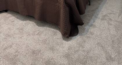 Cozy 3-bedroom house in charming High Springs