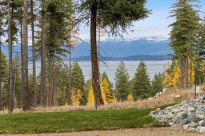 Unclassified image, 2 of 6, button - Treehouse Studio in Lakeside (Lakeside)