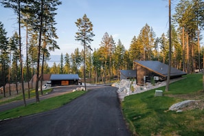 A modern building with a sloped roof, surrounded by a forested area with tall trees.