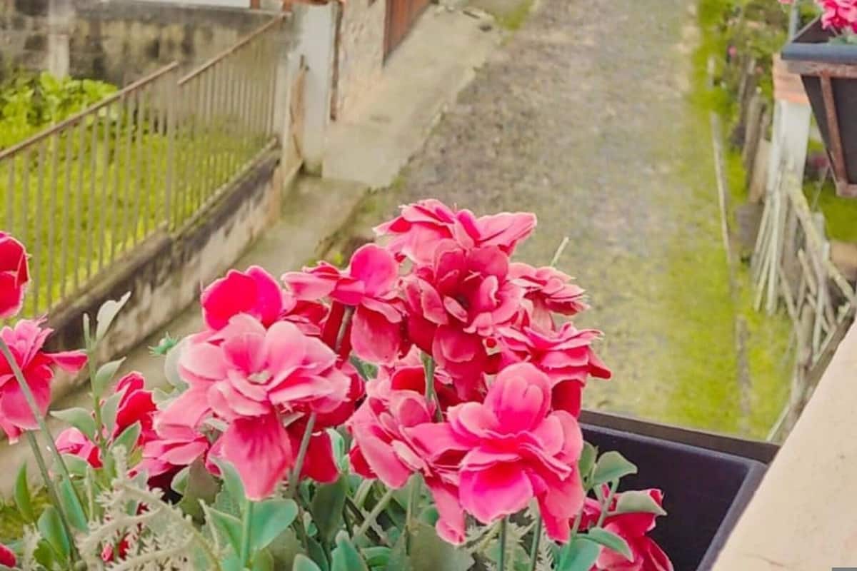 Suíte família, para não fumantes, banheiro privativo