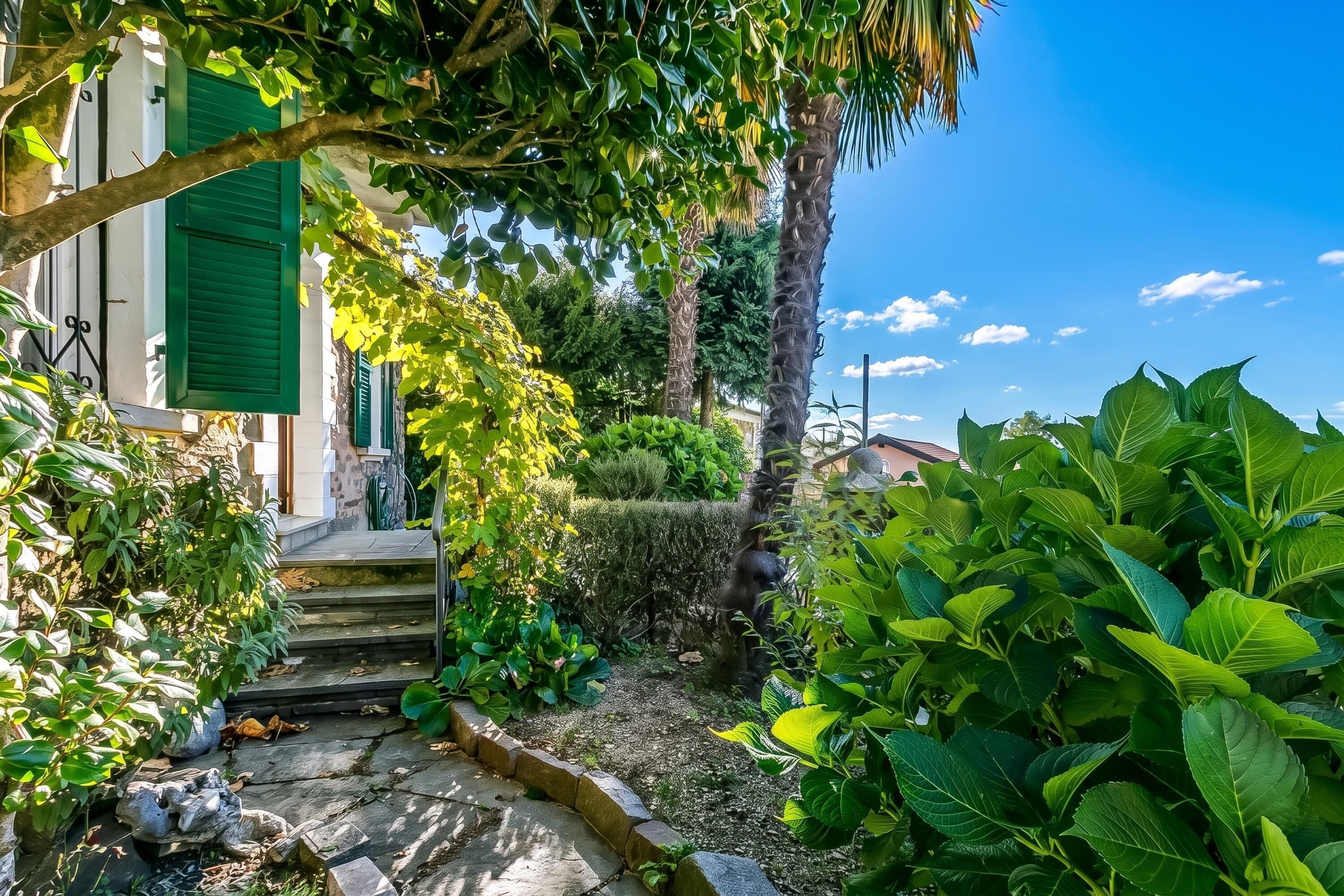 A garden with stone steps leading to a house with green shutters.