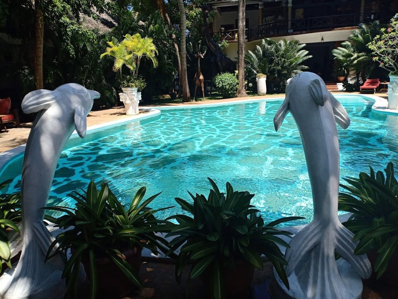 Kolam renang