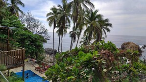 Un espace piscine agrémenté de palmiers, d’une terrasse en bois et offrant une vue sur l’océan.