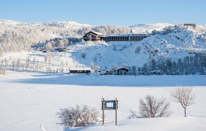 Uklassifisert bilde, 3 av 15, knapp