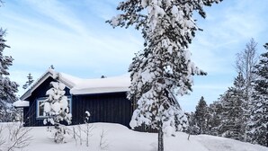 Una cabaña de aspecto oscuro, rodeada de árboles cubiertos de nieve y un cielo despejado.