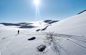 Nicht klassifiziertes Bild, 3 von 20, Schaltfläche