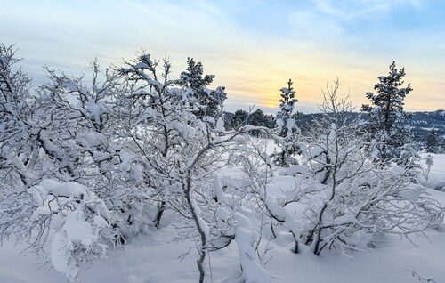 3 bedroom nice home in Fannrem