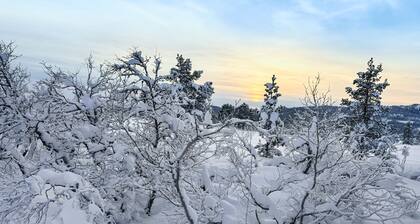 3 bedroom nice home in Fannrem