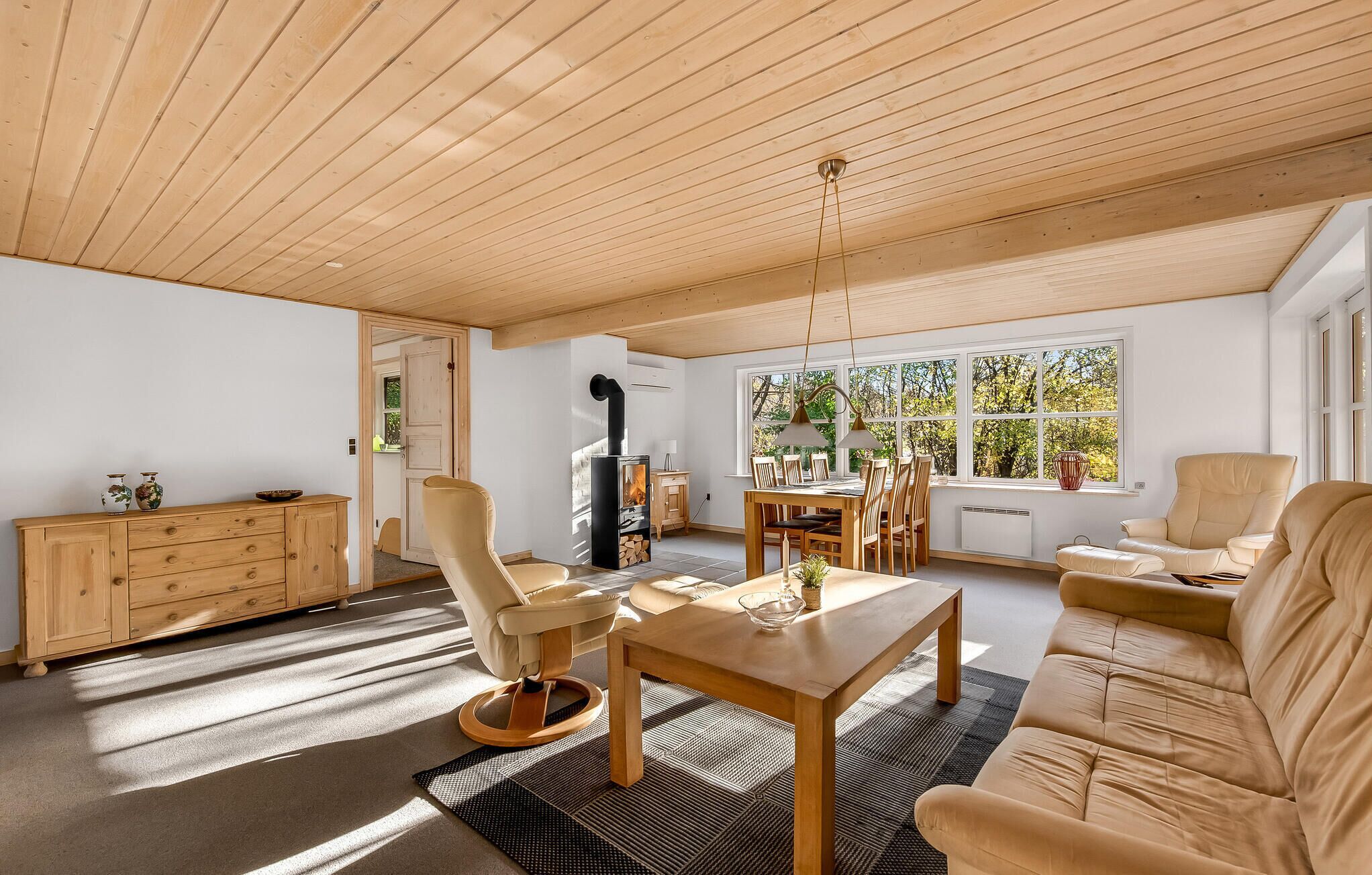 Televisión y chimenea 