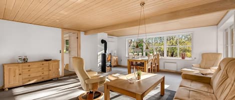 Televisión y chimenea