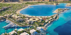 Niet-geclassificeerde afbeelding, 2 van 8, knop