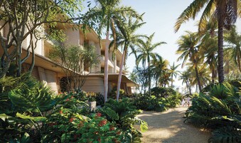 Um resort com um caminho bordeado por palmeiras que leva a um edifício com varandas.