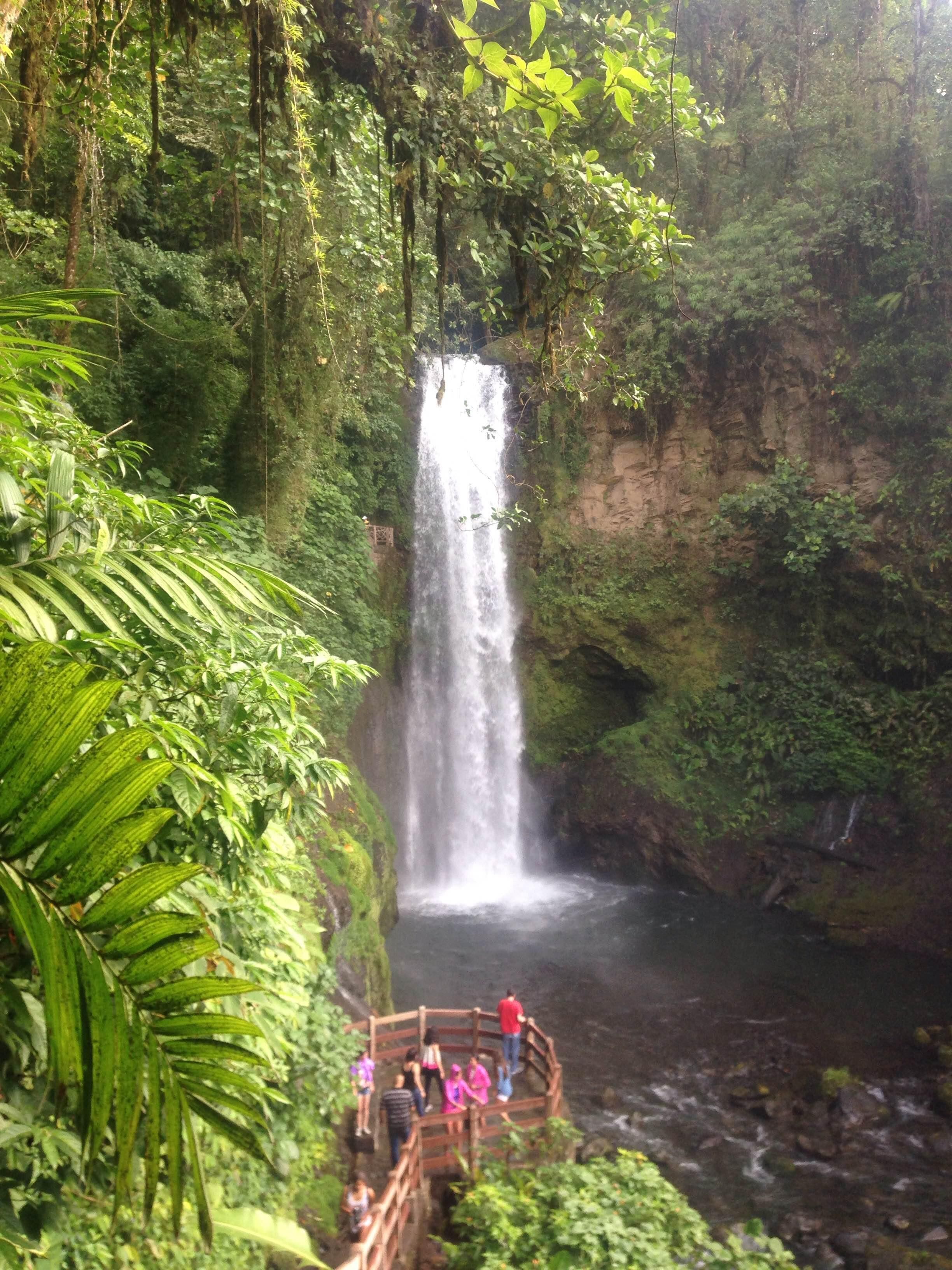 Căn hộ, 1 phòng ngủ