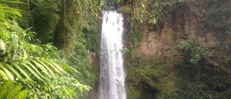 Appartement, 1 chambre