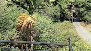 Une vue depuis un balcon doté d’une balustrade en métal, donnant sur une route et une végétation luxuriante, notamment un grand palmier bien visible.
