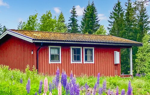 2 bedroom cozy home in Hagfors