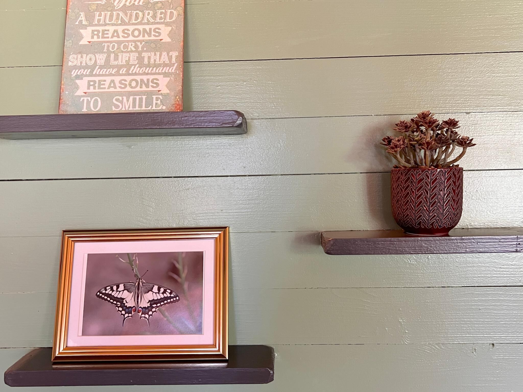 A wall with three wooden shelves, each holding different items: a framed butterfly picture, a decorative sign, and a potted plant.