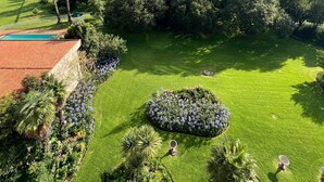 A lush, green landscape with a well-maintained lawn, a circular flower bed, and a swimming pool. - 458 on Manitoba (Pretoria)