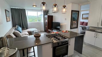 Comfort Apartment, Non Smoking, Mountain View