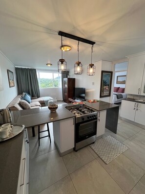 Comfort Apartment, Non Smoking, Mountain View - 458 on Manitoba (Pretoria)