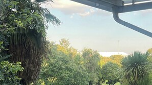 A view from a balcony overlooking a well-maintained garden with various plants and a lawn. - 458 on Manitoba (Pretoria)
