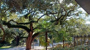 A tree-lined pathway with a wooden fence and a covered structure. - Pet Friendly Midtown Mobile Condo (Mobile)