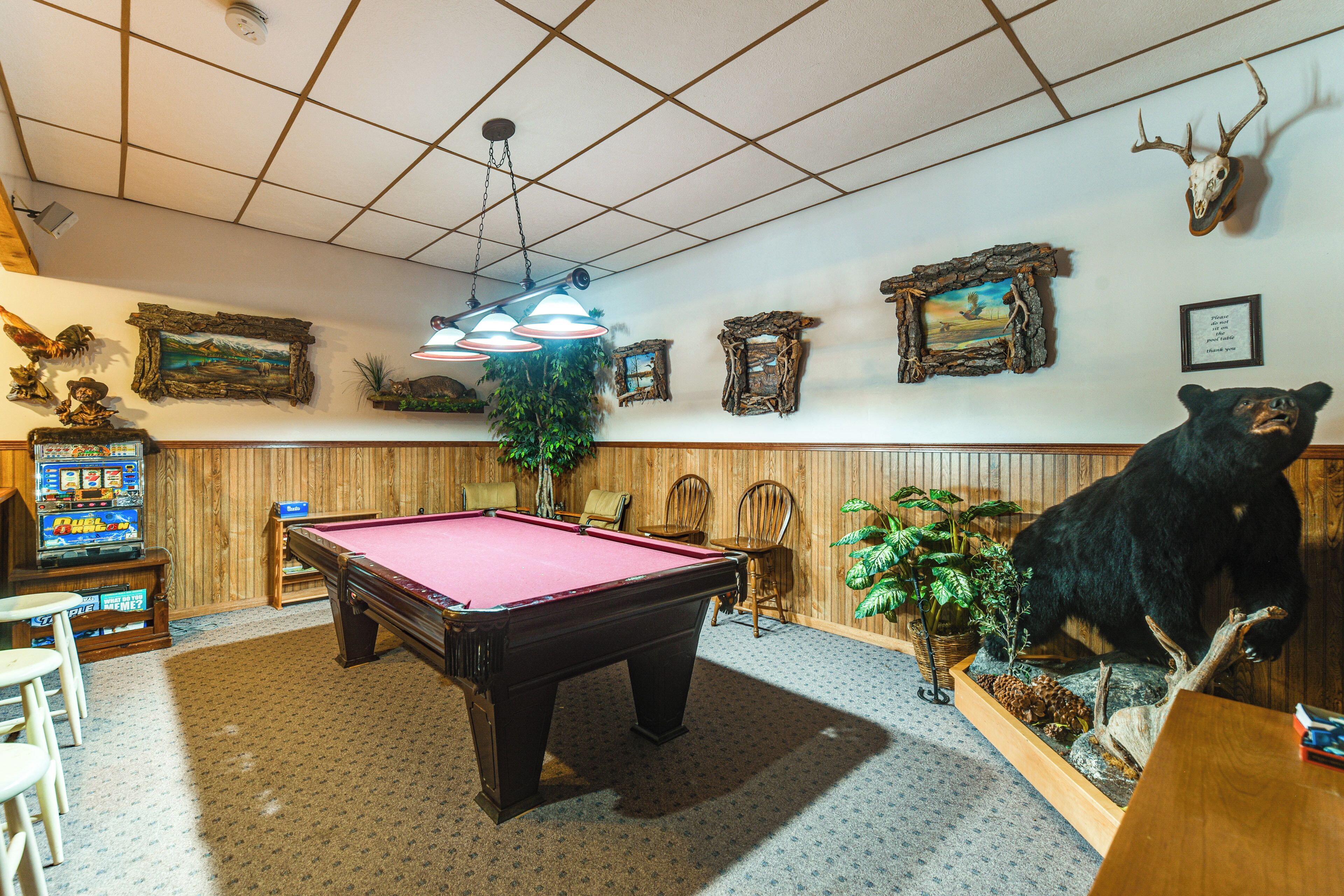 Una mesa de billar en una habitación con paredes de madera, una taxidermia de oso y cuadros enmarcados.