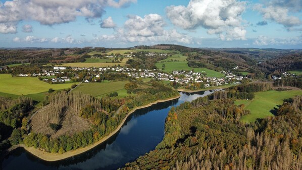 Vista aérea de un pequeño pueblo con un río que lo atraviesa, rodeado de campos verdes y bosques.