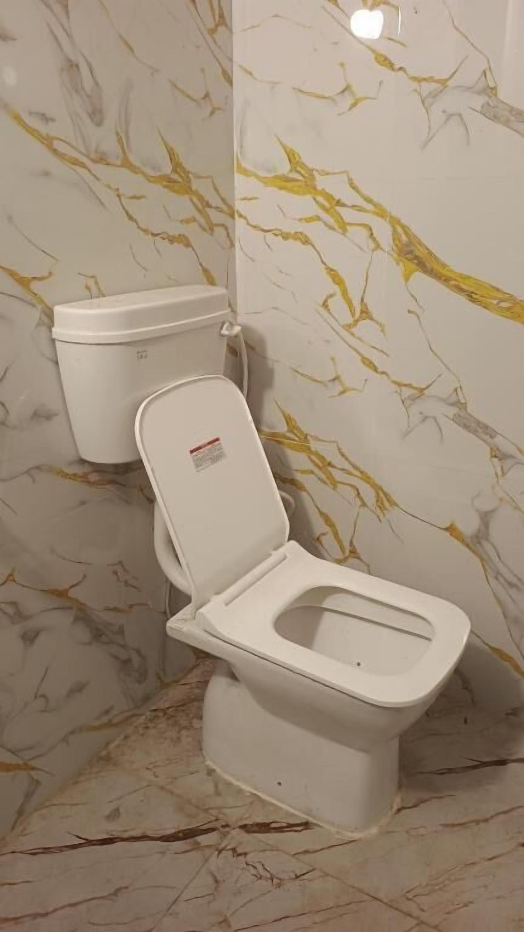Des toilettes avec un abattant et un couvercle blancs, placées contre un mur orné d’un motif imitant le marbre.