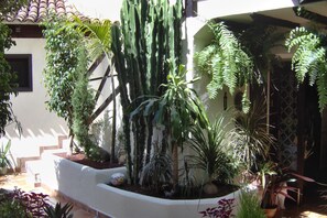 Property grounds - Apartment near Sea for Adults Only (Icod de los Vinos, Tenerife)