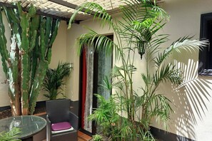 Terraza o patio